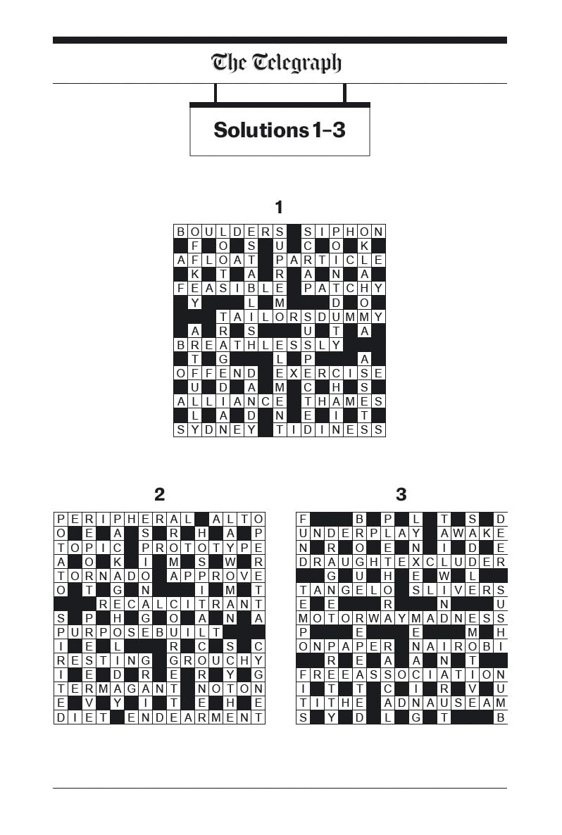 The Telegraph Large Print Cryptic Crosswords 1 (The Telegraph Puzzle Books)