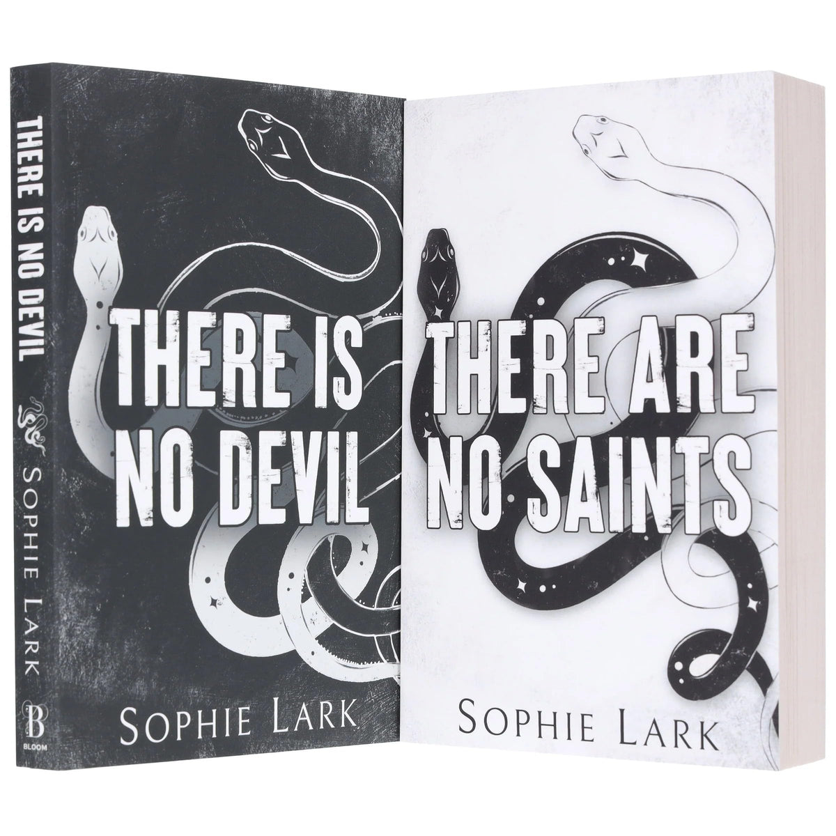 Sinners Duet Series 2 Books Collection Set (There Are No Saints & There Is No Devil)