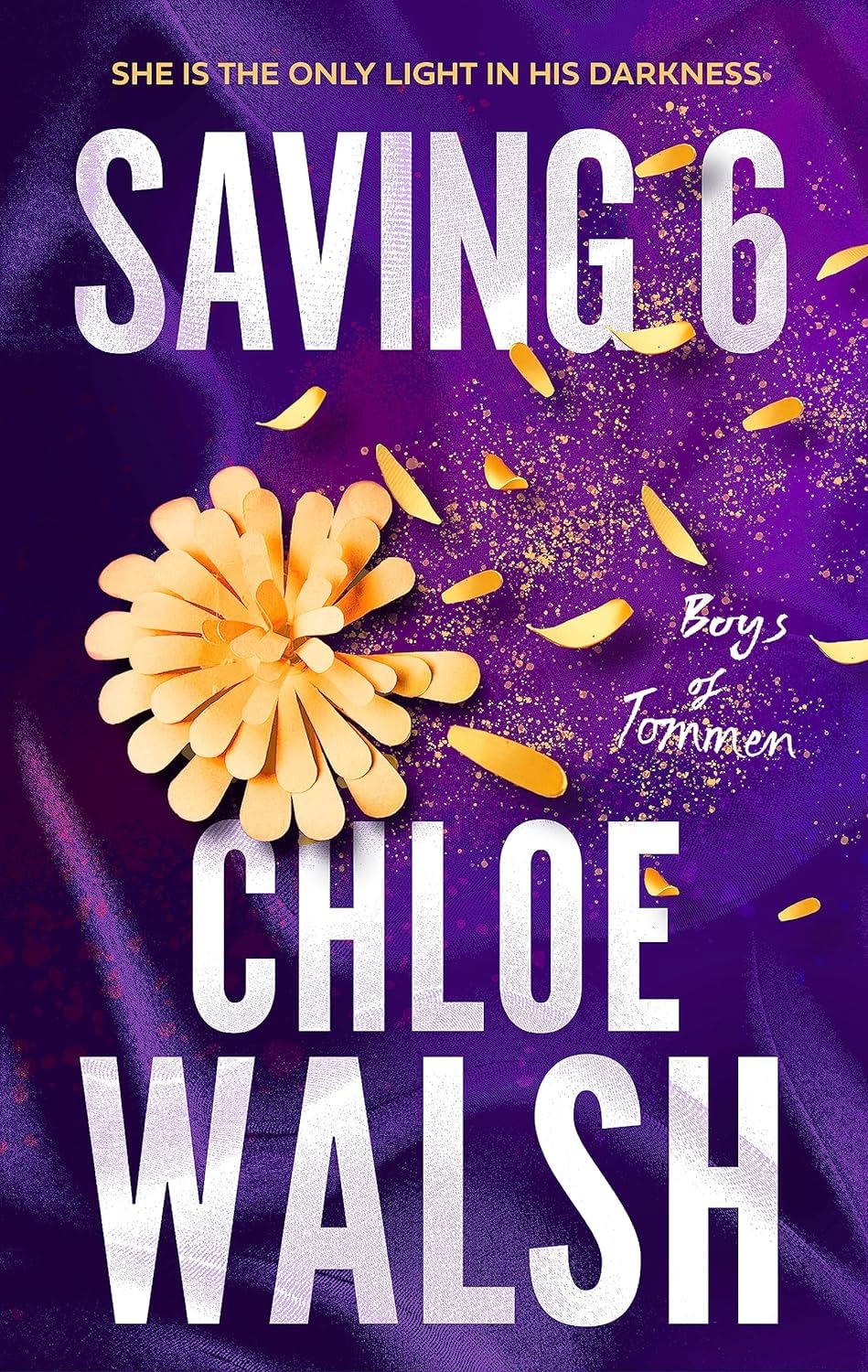 Boys of Tommen Series 5 Books Collection Set By Chloe Walsh (Binding 13, Keeping 13, Saving 6, Redeeming 6 & Taming 7)