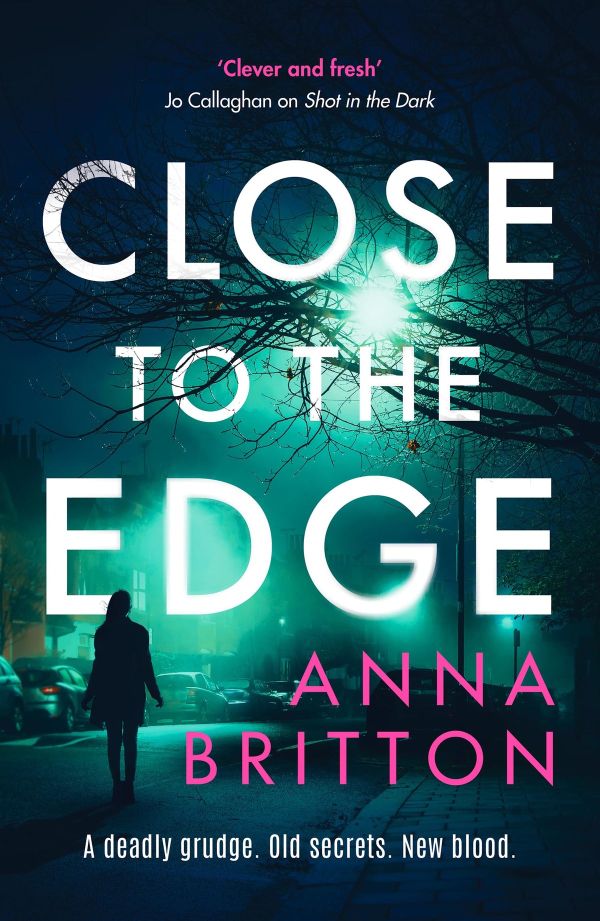 Close to the Edge: An unputdownable British police procedural series (Detectives Martin & Stern, 2)