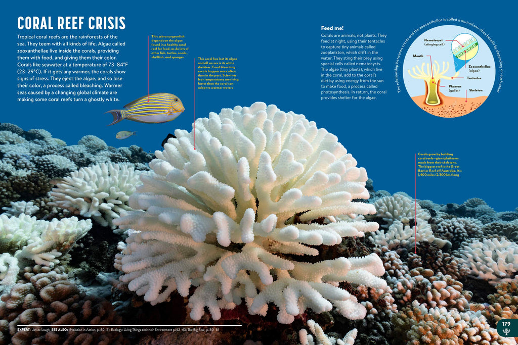 Britannica All New Children's Encyclopedia: What We Know & What We Don't