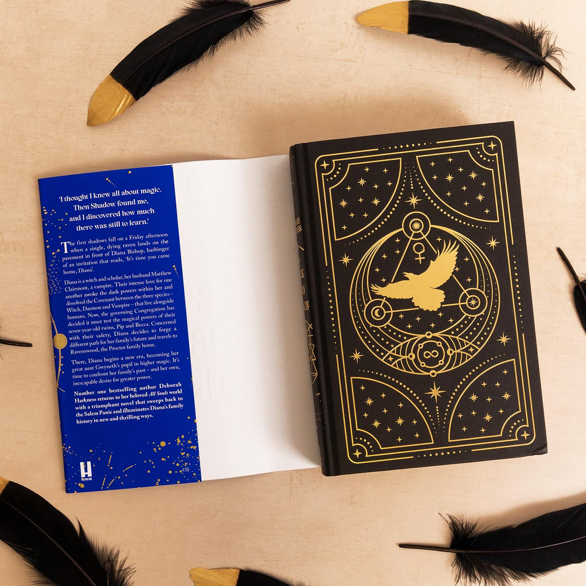 The Black Bird Oracle: The exhilarating new All Souls novel featuring Diana Bishop and Matthew Clairmont