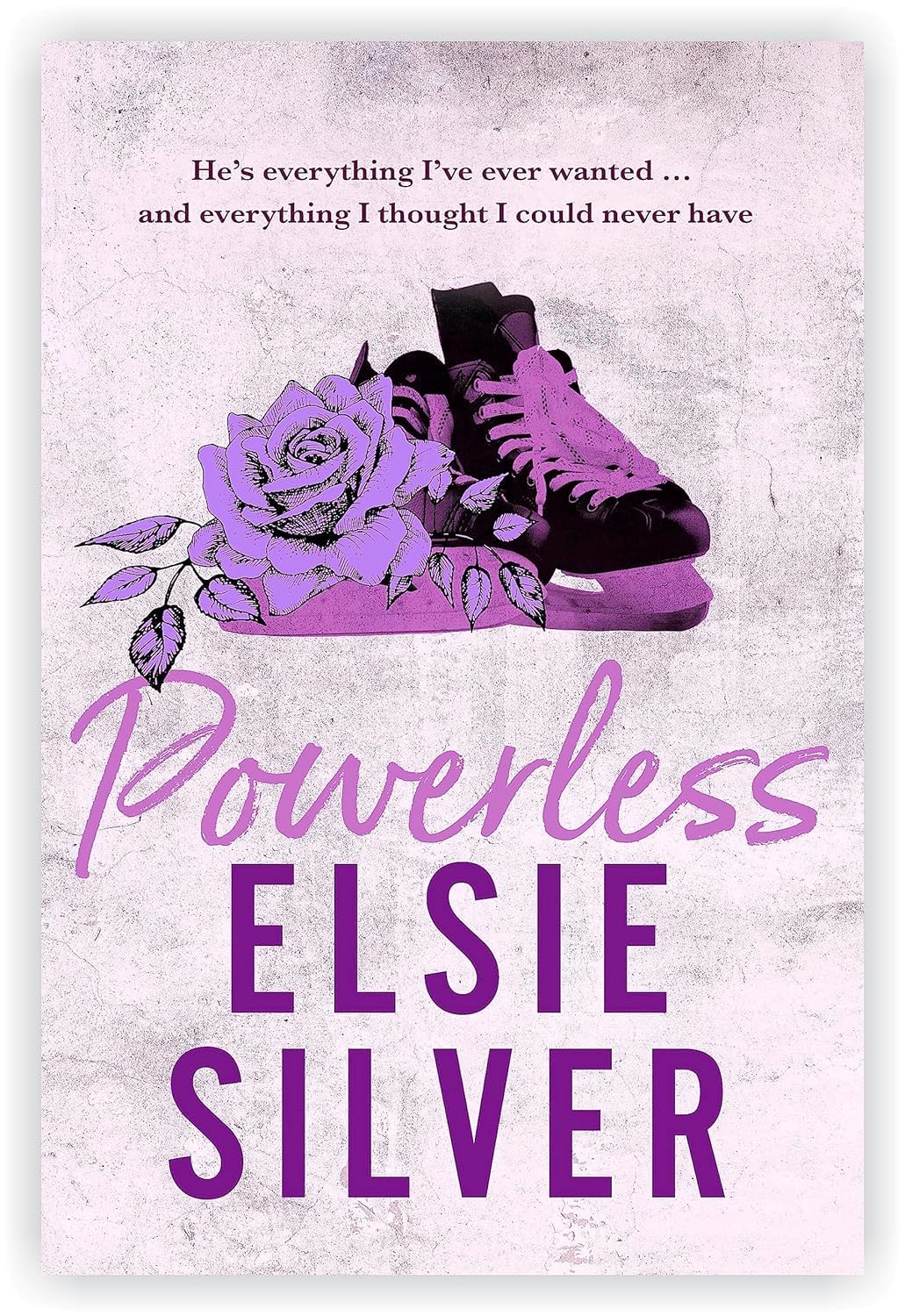 Chestnut Springs Series By Elsie Silver 4 Books Collection Set (Flawless, Heartless, Powerless, Reckless)