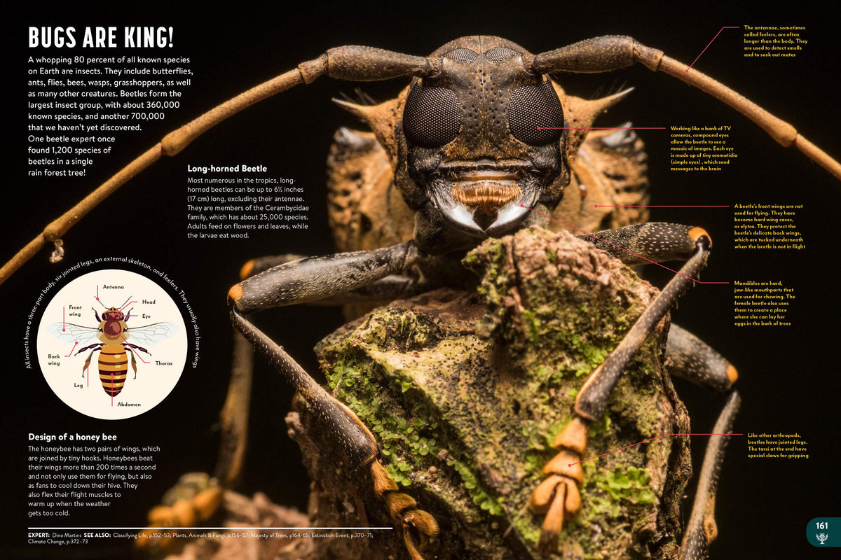 Britannica All New Children's Encyclopedia: What We Know & What We Don't