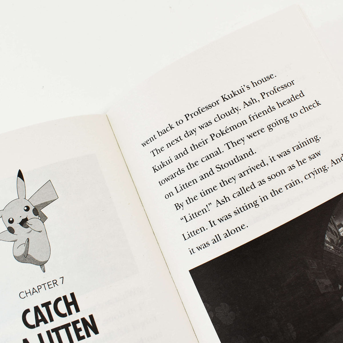 Pokemon Super 15 Book Collection